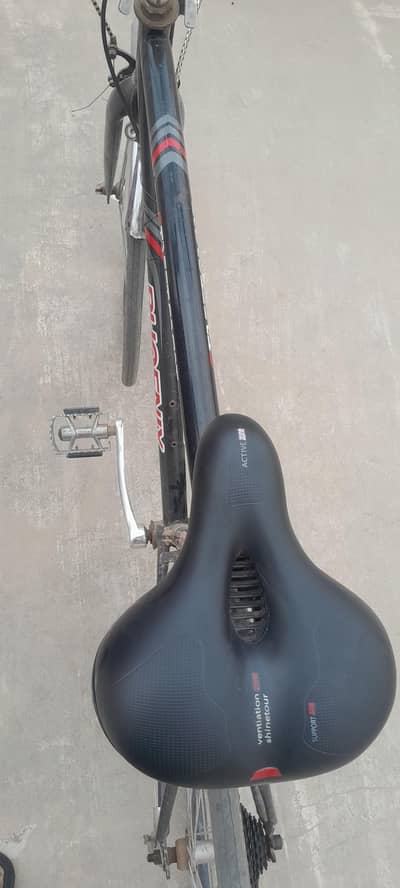 original phoenix imported bicycle