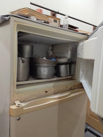 Fridge
