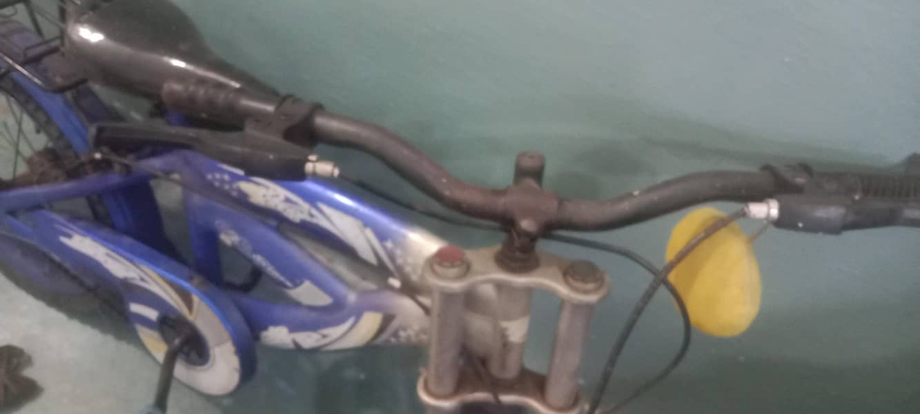 cycle 1