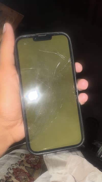 Apple iPhone 13 Pro Max