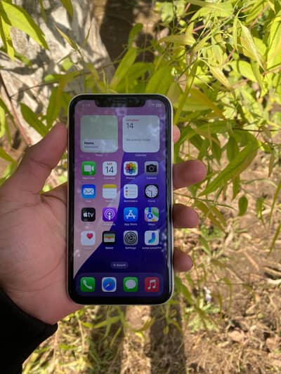 Apple iPhone XR
