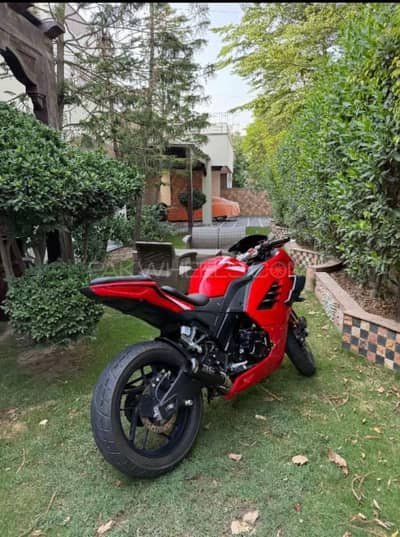 Ducati GT Edition 2024