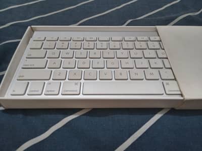 Apple Magic Keyboard with Magic Mouse.