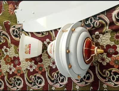GFC Celling Fan 220 Volts  AC