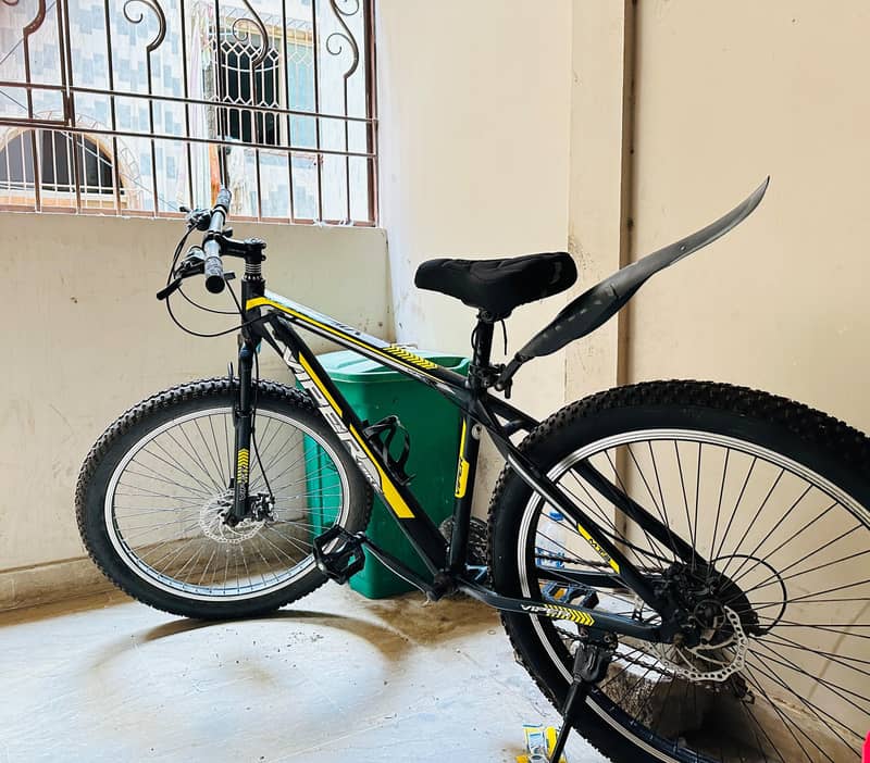 bycycle 2