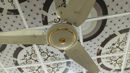 Fan for sale