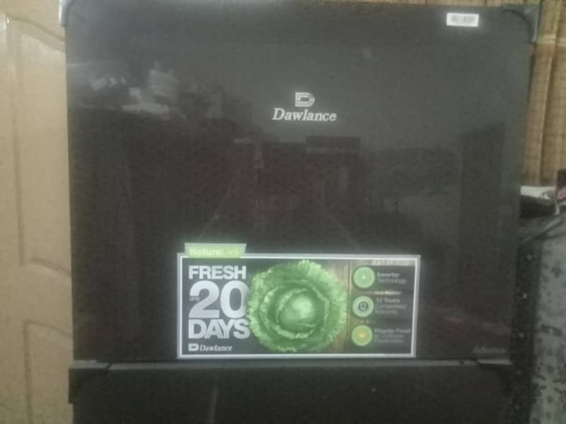 refrigerator 1