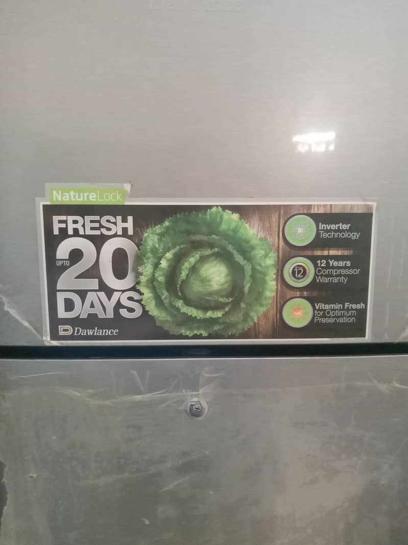 fridge 2