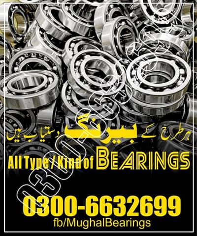 Roller Ball Bearing