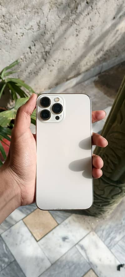 Apple iPhone 13 Pro Max