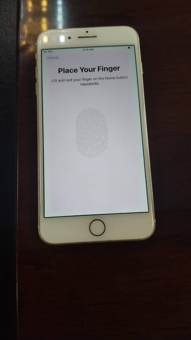 Apple iPhone 7 Plus 1