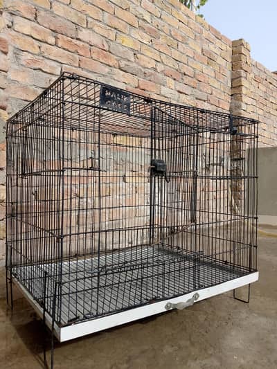 Cage/Pingra