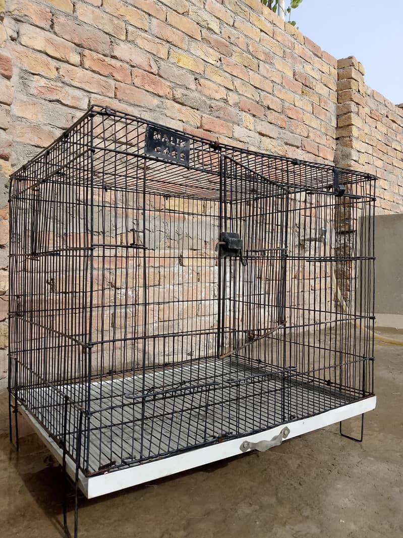 Cage/Pingra 0