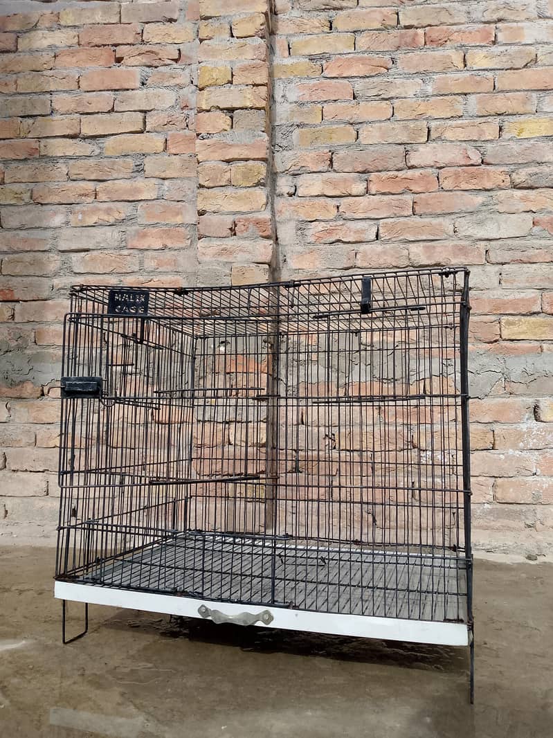 Cage/Pingra 1