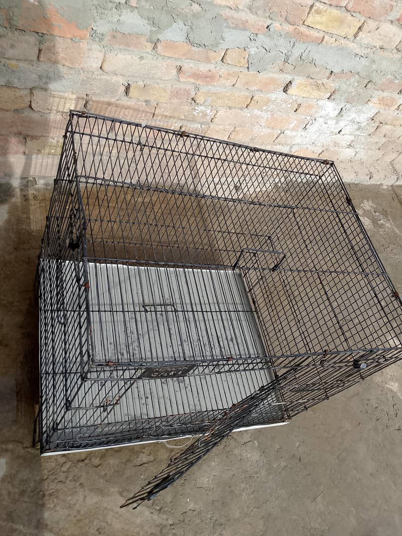 Cage/Pingra 3