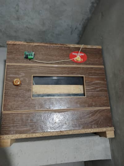 HEN Egg incubator for sale