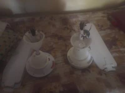 solar fan for sale