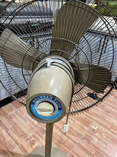 fan padestal