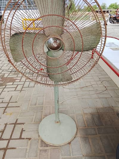 fanss