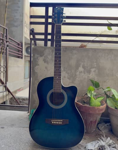 Acoustic guitar