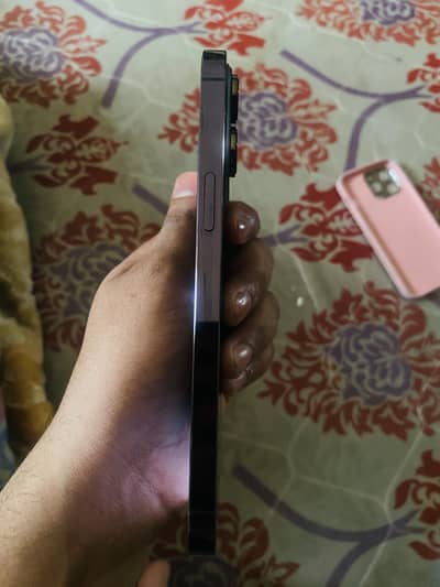 Apple iPhone 14 Pro Max back change