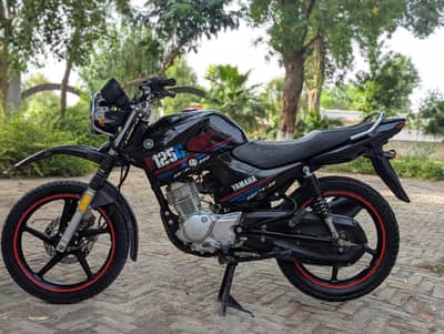 YAMAHA YBR G 03313939676