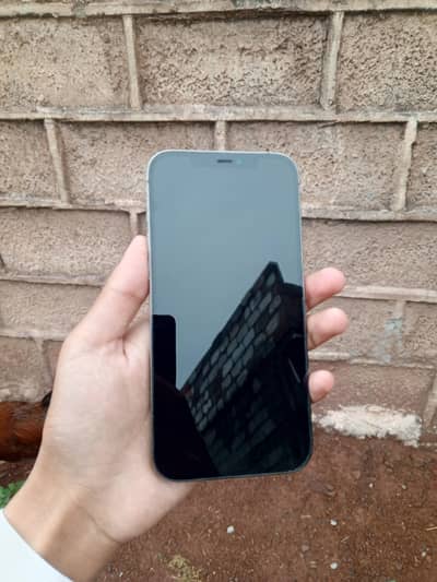 Apple iPhone 12 Pro Max
