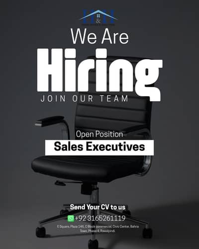 Sales Executive