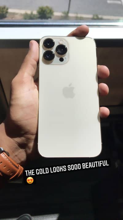Apple iPhone 13 Pro Max