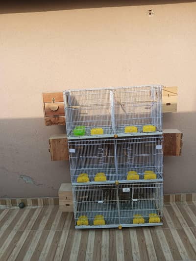 3 Portion cage 1.5/3 ft CAGES