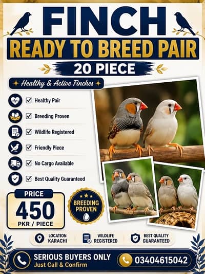 finches available for sale