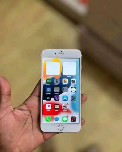 iPhone 6s my WhatsApp number 03703659905