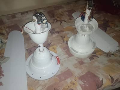 solar fan for sale