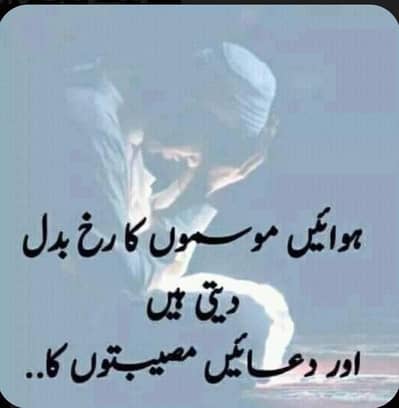 restaurant ma Kam ka leya male or female ke zarorat ha 03210001005