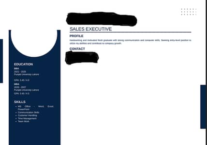Professional CV Resume Design 1 Hour Delivery Gulberg
