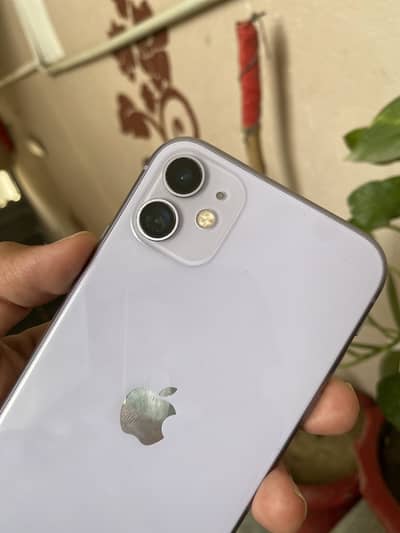 Apple iPhone 11