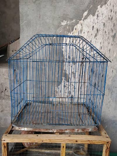 cage for sale used