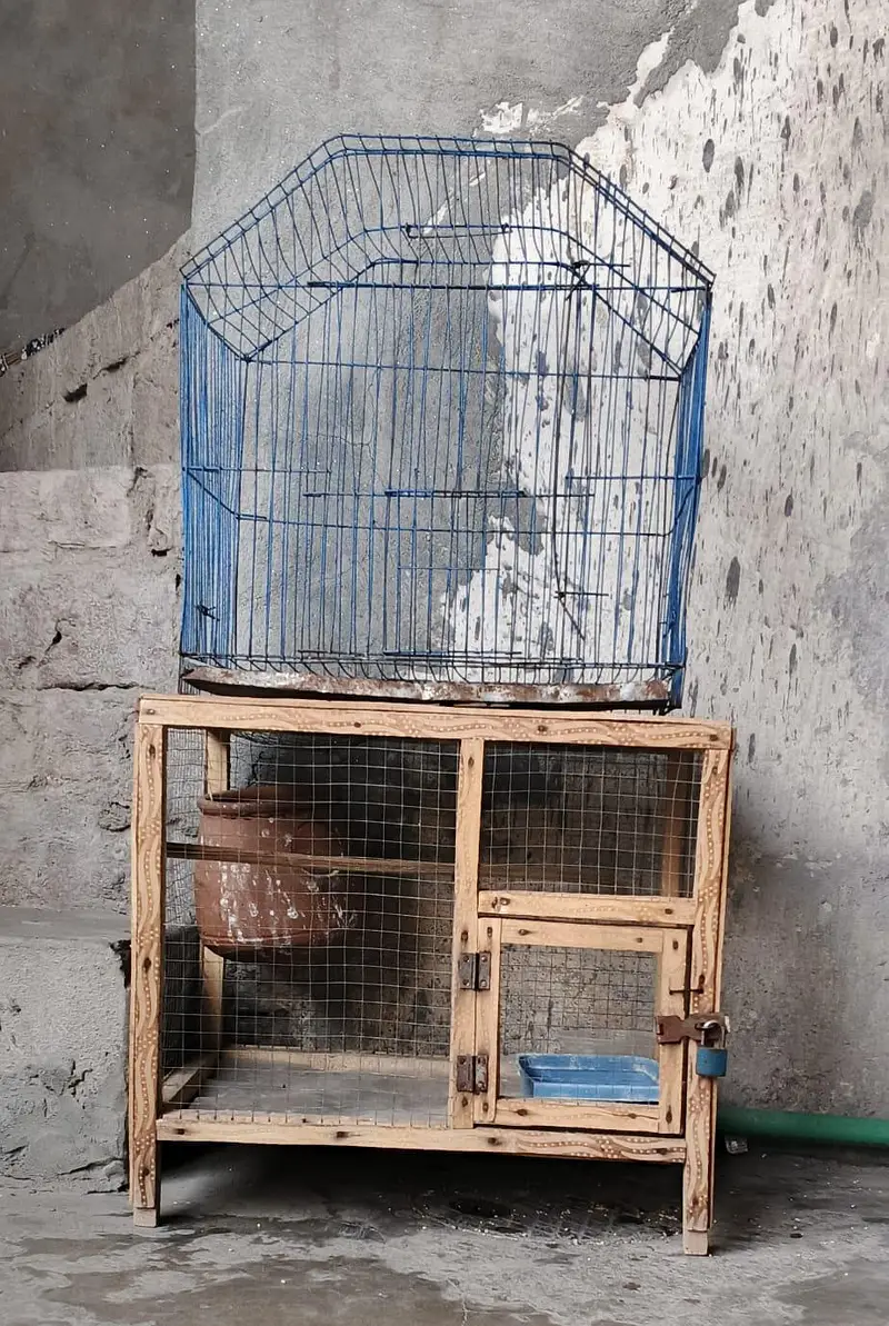 cage for sale used — photo 3