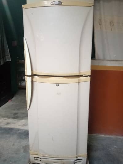 PEL fridge for sell medium Size original compressor fast Colling