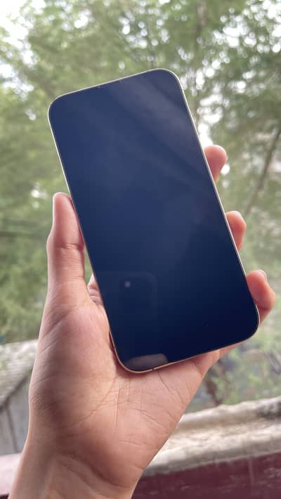 Apple iPhone 13 Pro 265 gb
