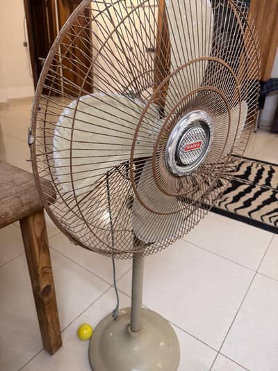 fans for sale