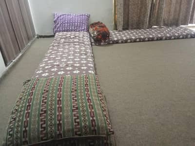 Used carpet full room size
