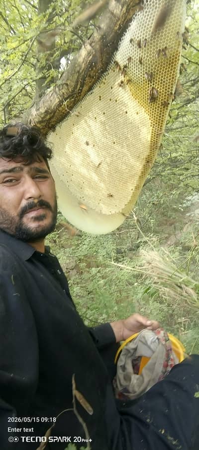 pure natural honey avaible