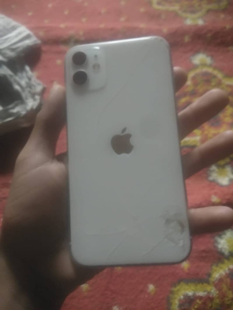 iPhone 11 0