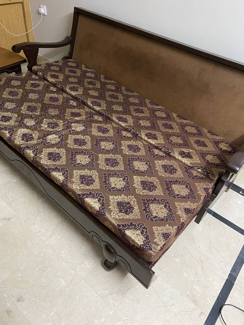 Sleeper sofa for safe 2