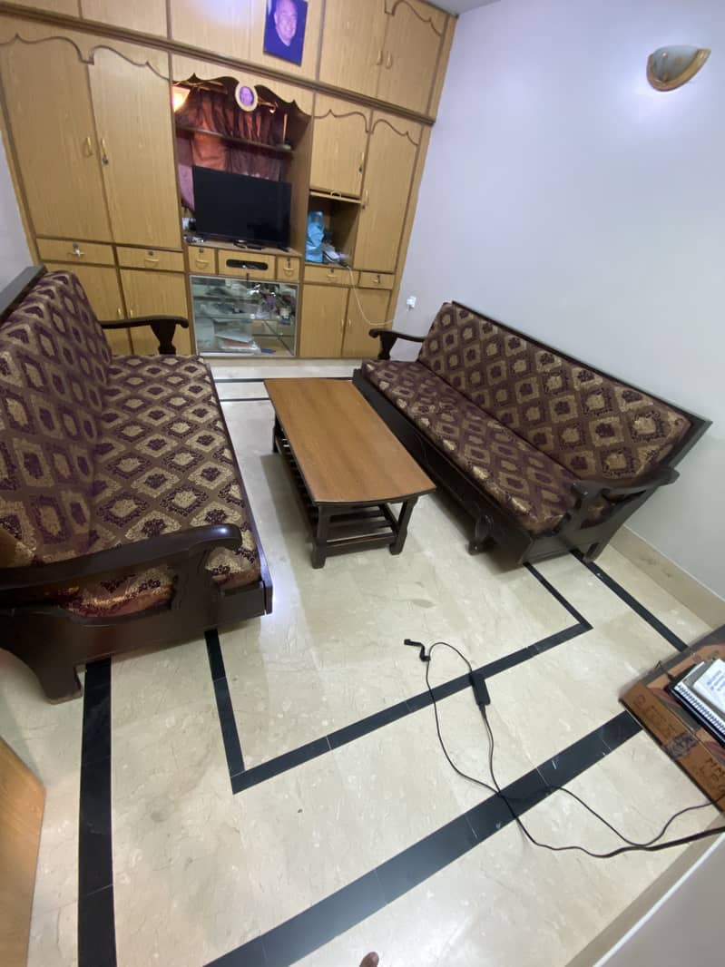 Sleeper sofa for safe 5