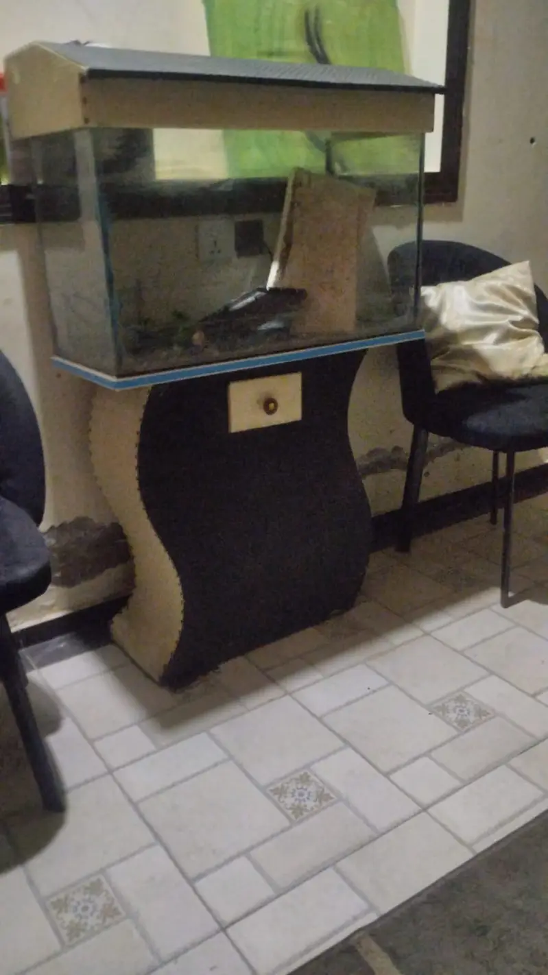 Aquarium Setup 20x12x16 +Stand+Rocks+ Plants – Low Price (Minor Leak)