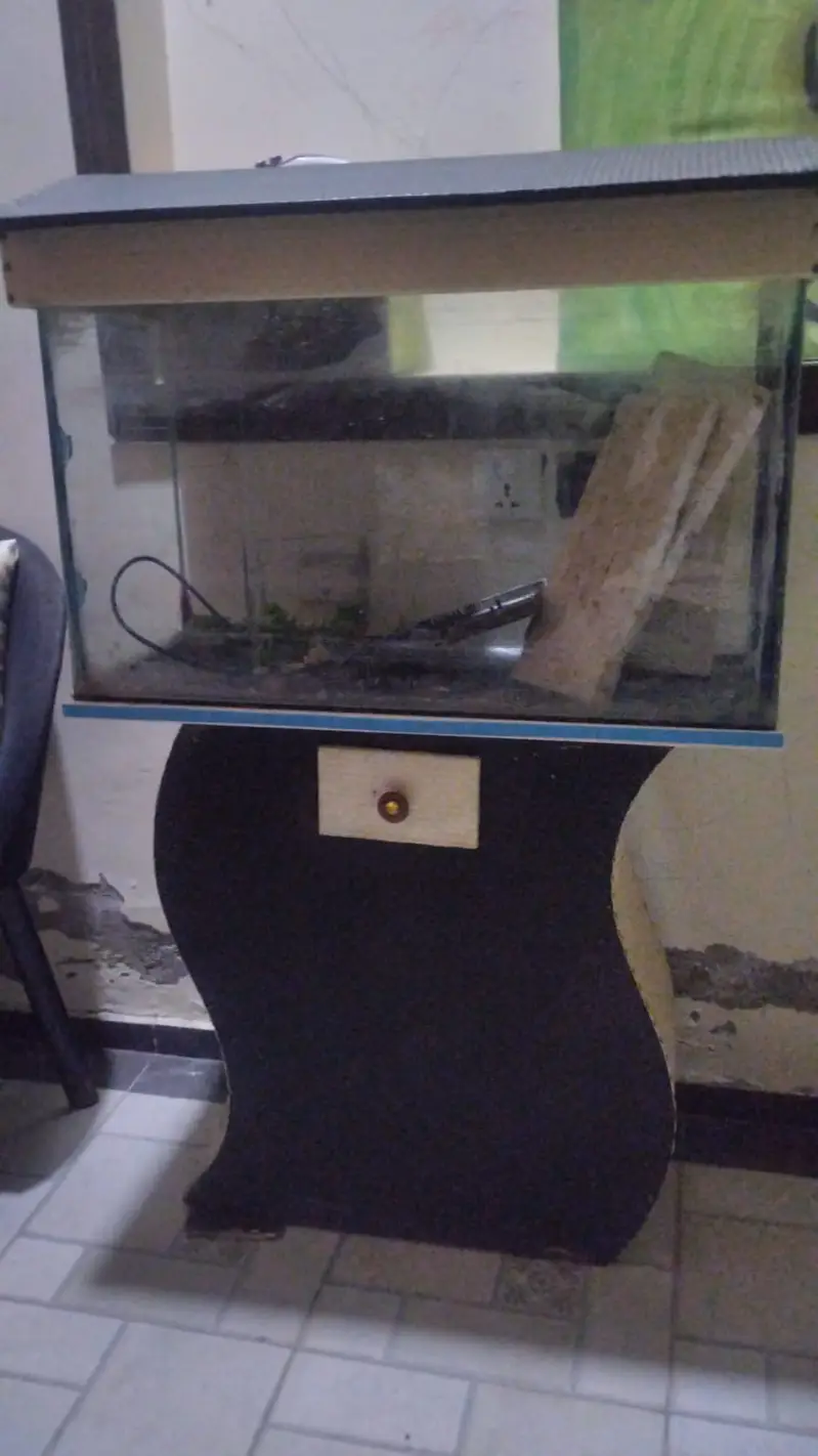 Aquarium Setup 20x12x16 +Stand+Rocks+ Plants – Low Price (Minor Leak) — photo 2