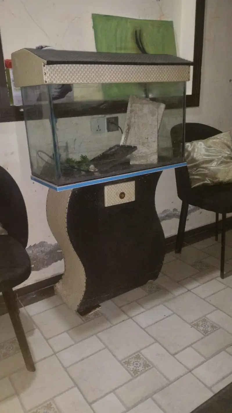 Aquarium Setup 20x12x16 +Stand+Rocks+ Plants – Low Price (Minor Leak) — photo 3