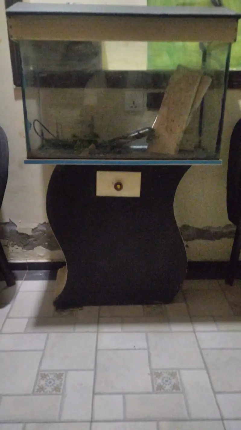 Aquarium Setup 20x12x16 +Stand+Rocks+ Plants – Low Price (Minor Leak) — photo 4